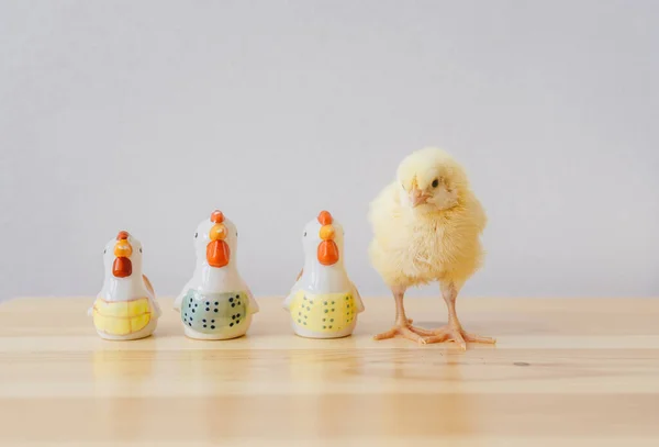 イースター小さな鶏とおもちゃの雛は木製のテーブルの上にあります — ストック写真