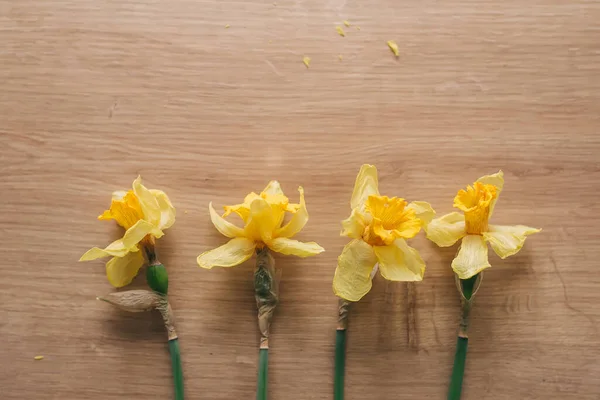 Žluté Narcisy Dřevěném Pozadí Horní Pohled — Stock fotografie