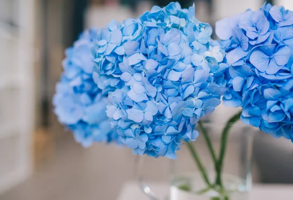 Jarrón Con Hermosas Flores Hortensia Mesa Enfoque Selectivo Las Flores —  Fotos de Stock