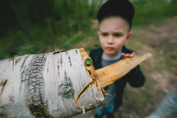 Chrząszcz Brzozowym Kłębie Mały Chłopiec Tyłu Zamazane Tło Selektywne Skupianie — Zdjęcie stockowe