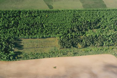 Kırsal alanda güzel bir yeşil ormanın üzerinde uçuyor. Orman arka planındaki ağaçların en üst görüntüsü. Boş alan. Drone fotoğrafçılığı.