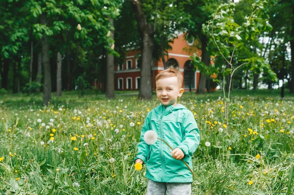 Mały Chłopiec Świeżym Powietrzu Zielonym Parku Stojący Trawie Trzymający Dłoniach — Zdjęcie stockowe