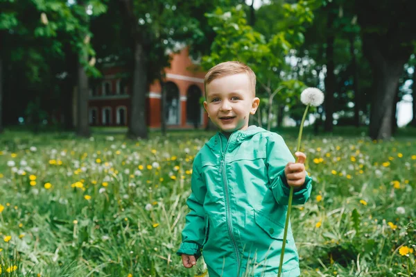 Schattig Jongetje Met Paardenbloem Het Weitje Horizontaal Portret — Stockfoto