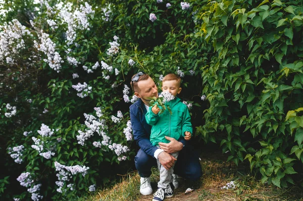 Dad Hugs Little Son Laughs Flowering Garden Little Boy Enjoys — Stock Photo, Image