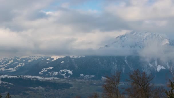 Tijdsverloop van snel bewegende wolken en bomen gemarkeerd in de zon — Stockvideo