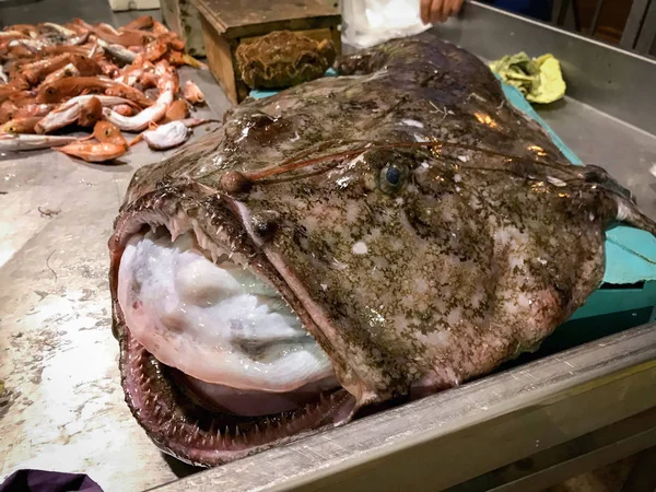 Monkfish segar dijual di pasar ikan lokal di Mola di Bari, Pug — Stok Foto