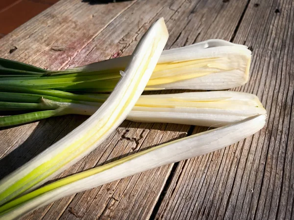 Cebolletas recién cosechadas de la granja — Foto de Stock