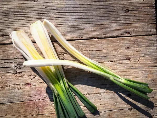 Freshly harvested spring onions from the farm — Stock Photo, Image
