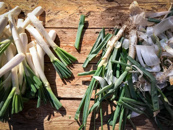 Freshly harvested spring onions from the farm