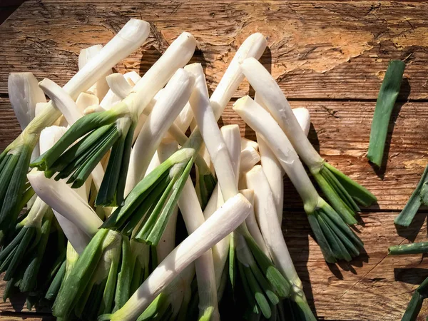 Cebolletas recién cosechadas de la granja — Foto de Stock