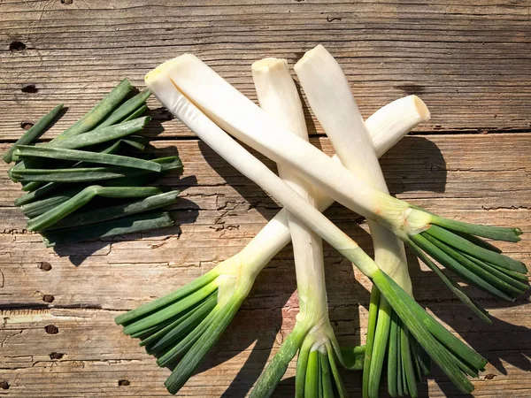 Cebolletas recién cosechadas de la granja — Foto de Stock