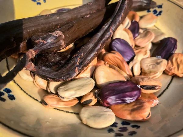 Kacang yang luas kering di piring keramik tradisional dari Puglia — Stok Foto