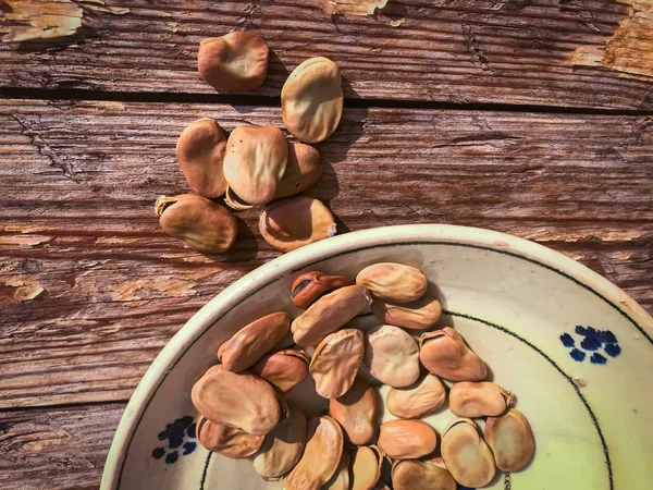 Puglia 'dan geleneksel seramik tabakta kurutulmuş geniş fasulye.