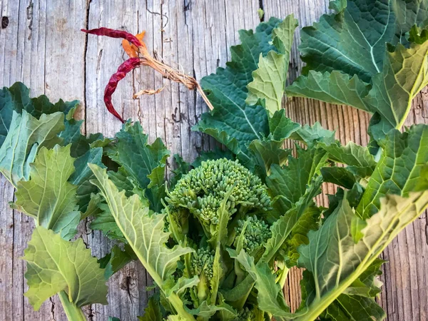 Fresh raw turnip tops — Stockfoto