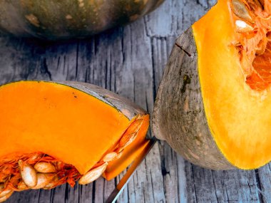 Taze lezzetli balkabağı çiftlikten toplandı.