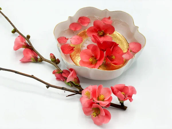 Spa rahatlama tedavisi için narin sakura çiçekleri içeren kompozisyon