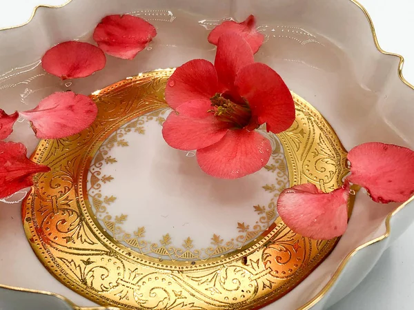 Composição Com Delicadas Flores Sakura Para Tratamento Relaxamento Spa — Fotografia de Stock