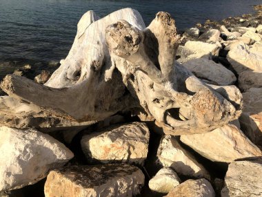 Mola di Bari, Puglia 'da terk edilmiş büyük bir sandık.