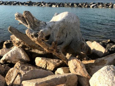 Mola di Bari, Puglia 'da terk edilmiş büyük bir sandık.