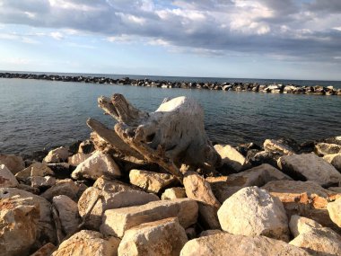 Mola di Bari, Puglia 'da terk edilmiş büyük bir sandık.
