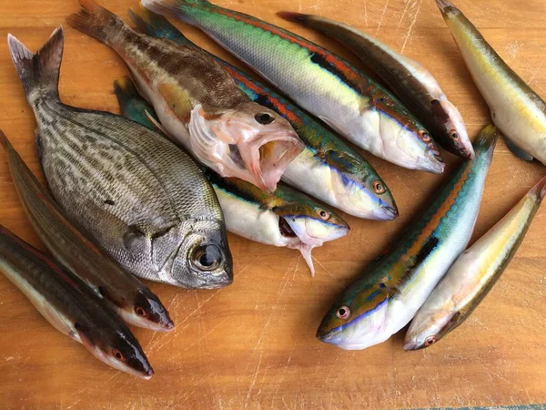 Variasi Mentah Segar Ikan Dari Mediterranean Lihat — Stok Foto