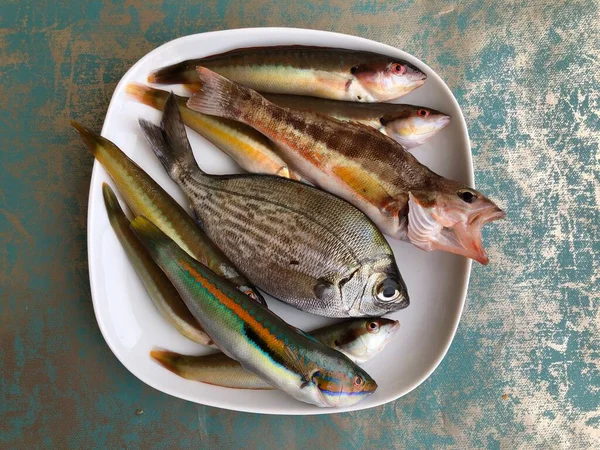 Variasi Mentah Segar Ikan Dari Mediterranean Lihat — Stok Foto