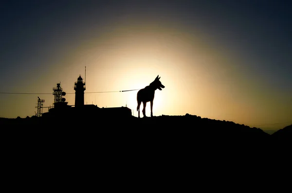 Black silhouette of a lighthouse and a dog in top of a mountain covering the sun during sunset.
