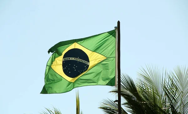 Bandiera Brasiliana Sull Albero Contro Cielo Blu — Foto Stock