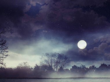 Fantezi orman. Fantezi manzara