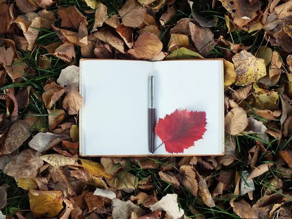 Notatnik na opadłych liści — Zdjęcie stockowe