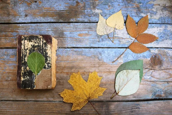Винтажные книги и осенние листья на деревянном столе — стоковое фото