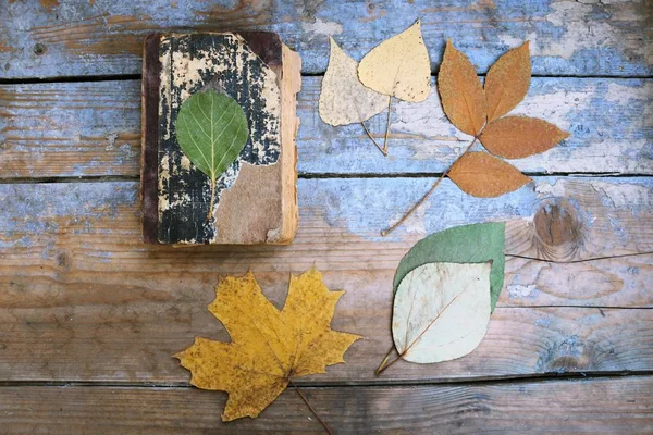 Książki i liści jesienią na biurko z drewna — Zdjęcie stockowe