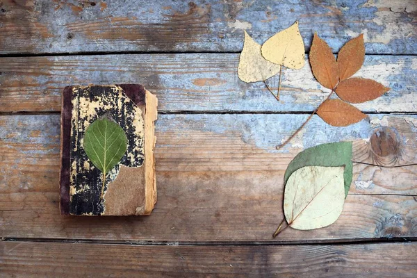 Książki i liści jesienią na biurko z drewna — Zdjęcie stockowe