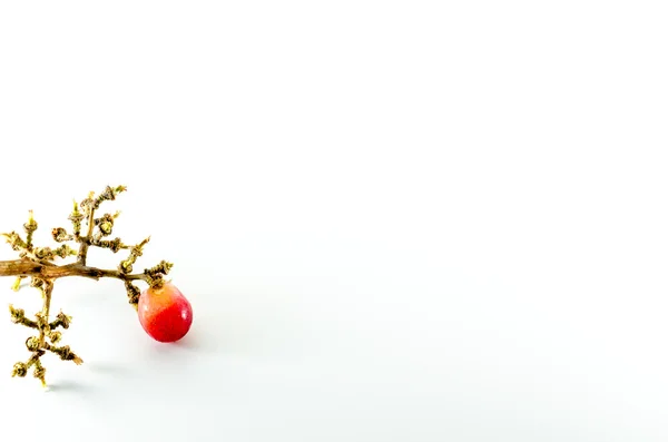Üzüm ve üzüm beyaz arka plan üzerinde SAP — Stok fotoğraf