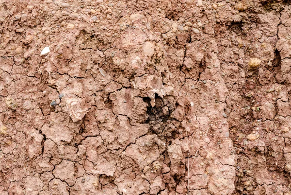 Crack soil on dry season, Effect of Global worming, Soil backgro