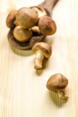 ahşap masa arka plan üzerinde izole taze shiitake mantar