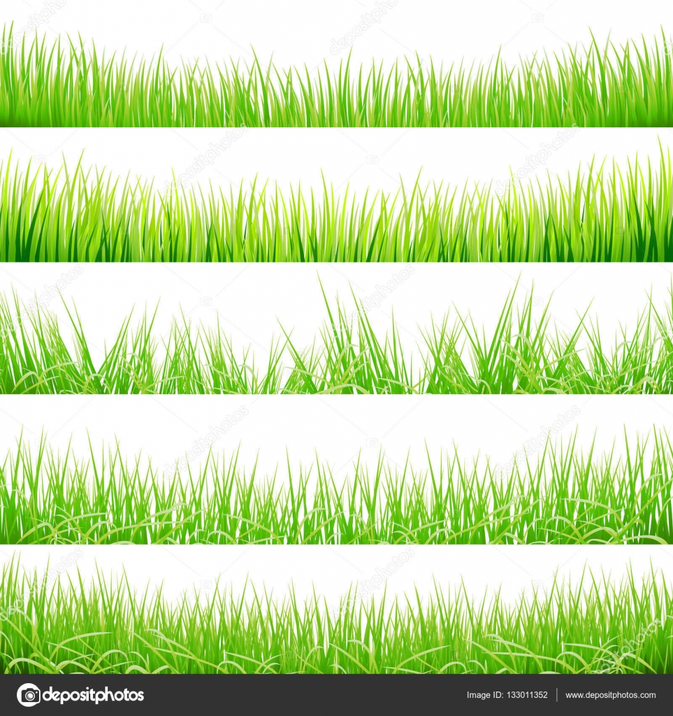 緑の芝生の大きなセット ベクトル イラスト ストックベクター