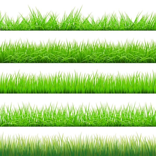 Green Grass Big Set, Vector Illustration — Stock Vector