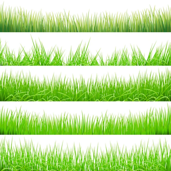 5 fondos de hierba verde, aislado sobre fondo blanco, ilustración vectorial — Vector de stock