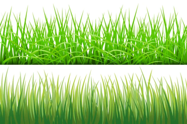 Beyaz arka plan üzerinde izole yeşil çimenin 2 arka plan illüstrasyon vektör — Stok Vektör