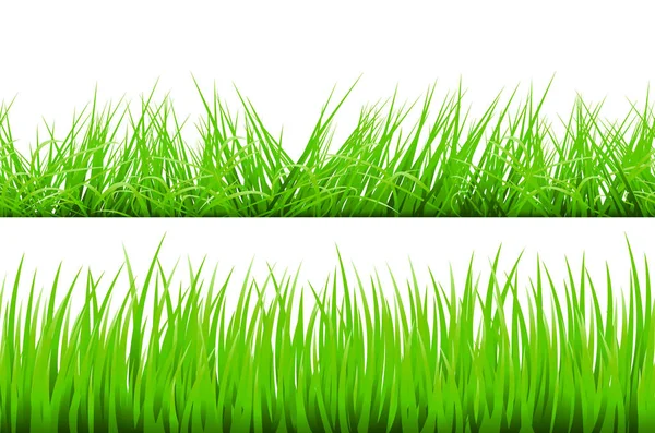 Confine erba verde, illustrazione vettoriale — Vettoriale Stock
