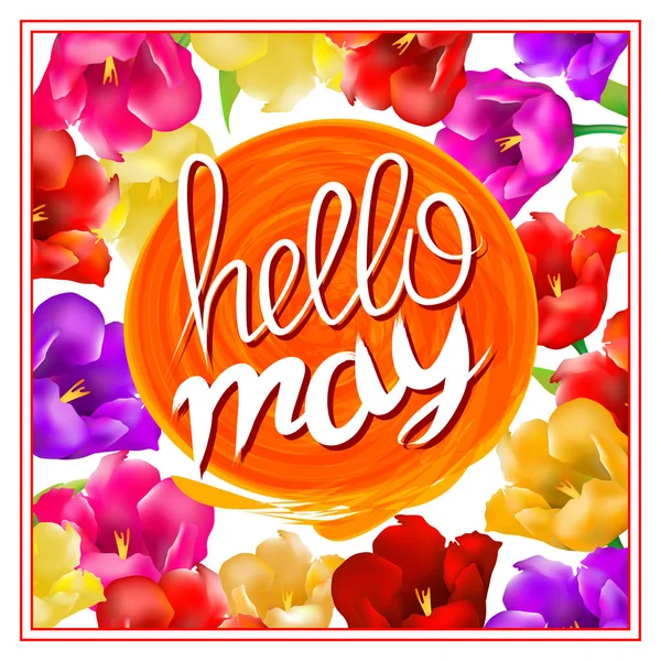 Letras hellow may. Sol naranja. fondo con flores de colores tulipán aislado sobre fondo blanco. Vector EPS10 . — Archivo Imágenes Vectoriales