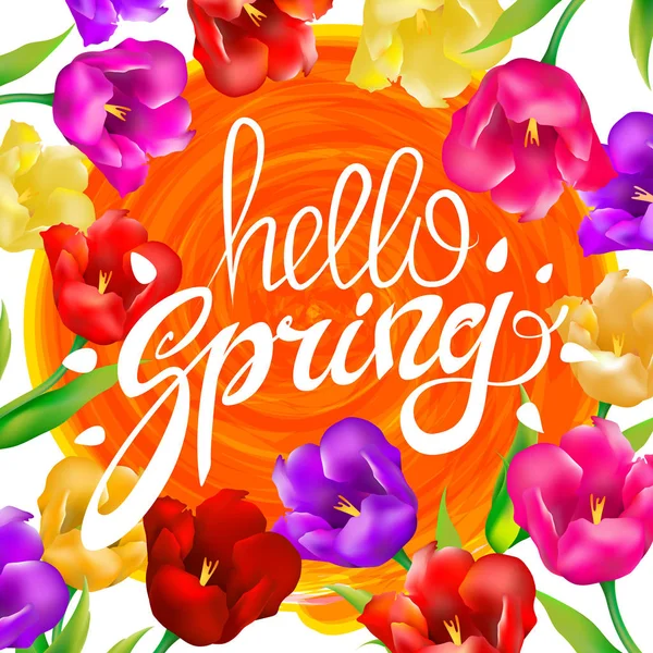 Bonjour printemps tulipes colorées fleurs fond blanc avec lettrage. Modèle pour carte postale de voeux, un cercle de soleil orange. Illustration vectorielle EPS10 . — Image vectorielle