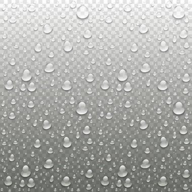 Gerçekçi vektör su şeffaf arka plan damla. Temiz açılan yoğunlaşma illüstrasyon
