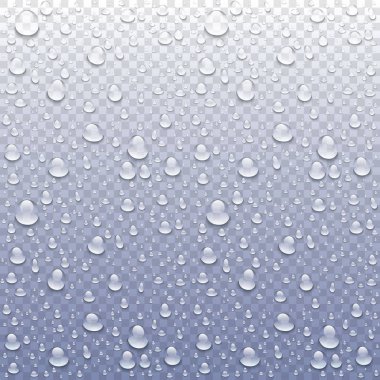 Vektör foto gerçekçi görüntü yağmur damlaları veya buharı yalak pencere cam