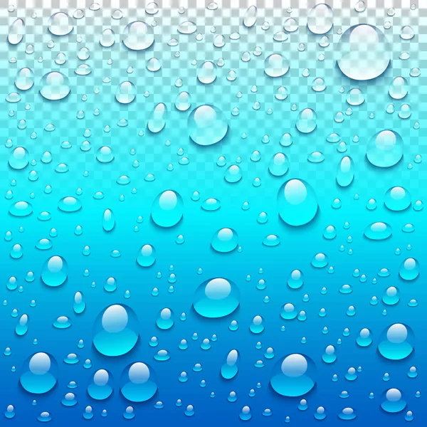 Vecteur réaliste gouttes d'eau fond bleu transparent. Illustration de condensation propre — Image vectorielle