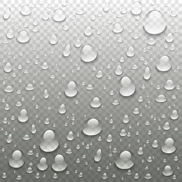 Vector gouttes d'eau réalistes sur fond transparent. Des gouttes de pluie sans ombres pour une surface transparente. De nombreuses formes et tailles . — Image vectorielle