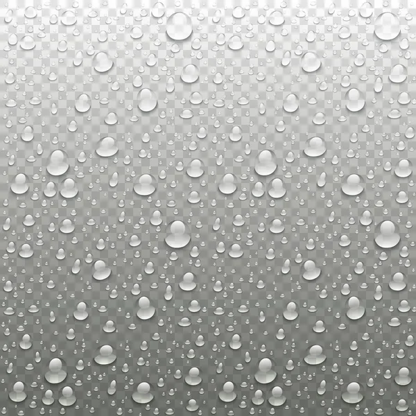 Vecteur réaliste gouttes d'eau fond transparent. Illustration de condensation propre — Image vectorielle