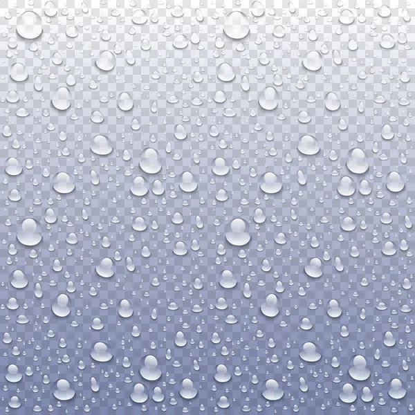 Immagine realistica della foto vettoriale delle gocce di pioggia o del vetro della finestra della depressione del vapore — Vettoriale Stock