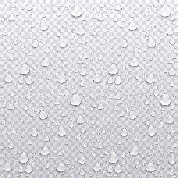 Realistische Vektor Wassertropfen transparenten Hintergrund. Illustration der Kondensationsbildung bei sauberen Tropfen — Stockvektor